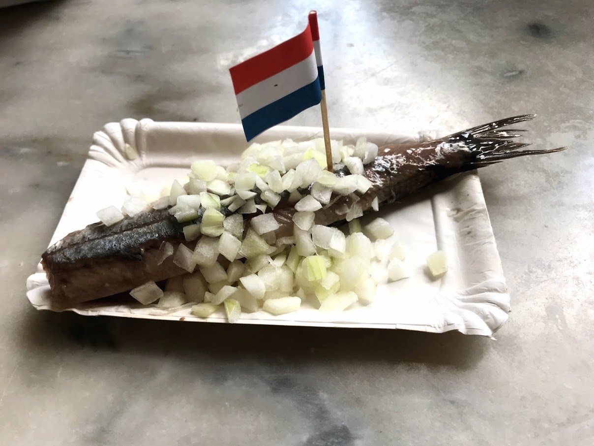 【歐洲自由行-荷蘭鹿特丹】阿姆斯特丹到鹿特丹交通，鹿特丹市集心得分享[day1] @鯊魚大口咬